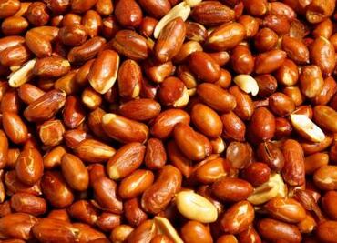 ¿Por qué los cacahuates bailan en la cerveza?; científicos hallan la respuesta