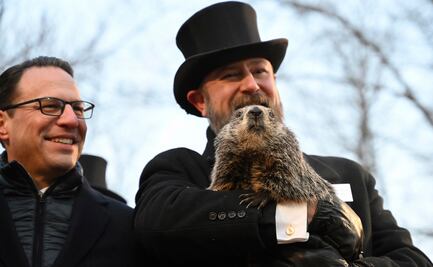 Phil, la marmota que "predice" seis semanas más de invierno en Estados Unidos
