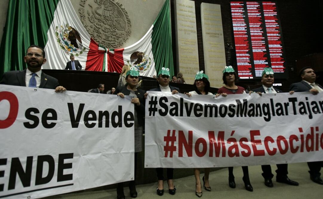 El grupo parlamentario exigió se castigue a los responsables de la tala de manglares en el malecón. /Alejandro Acosta - EL UNIVERSAL