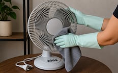 ¿Cómo limpiar tu ventilador para esta temporada de calor?; conoce los pasos aquí