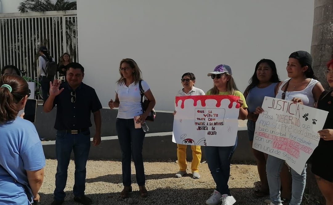 Protesta por el mal trato y la crueldad animal en Yucatán. Foto Especial