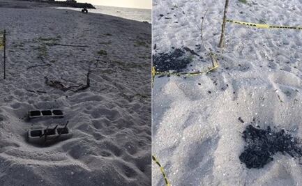 Aumentan seguridad por saqueo de nidos de tortuga en Yucatán