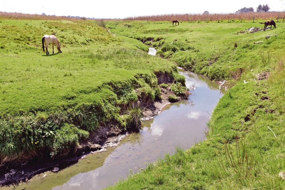 Habitantes acusan a empresas por abuso en consumo de agua Foto: Artemio Guerra Archivo Cuartooscuro