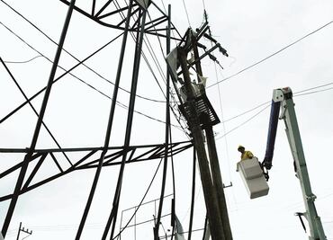 “Plan eléctrico daña imagen del país”