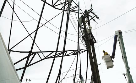 “Plan eléctrico daña imagen del país”