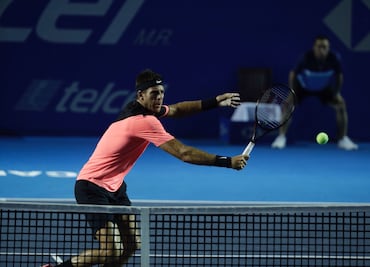 Del Potro avanza a la final del Abierto Mexicano