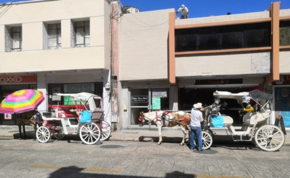 Turismo aumentó 30% en Yucatán con reapertura económica