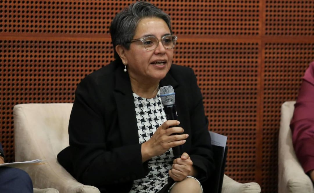 Raquel Buenrostro, titular de la Secretaría de Anticorrupción y Buen Gobierno, en el Senado (7/02/2025). Foto: Especial