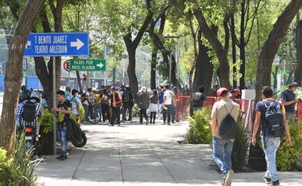 Senado pide a CDMX asumir responsabilidad y retirar vendimia de marihuana