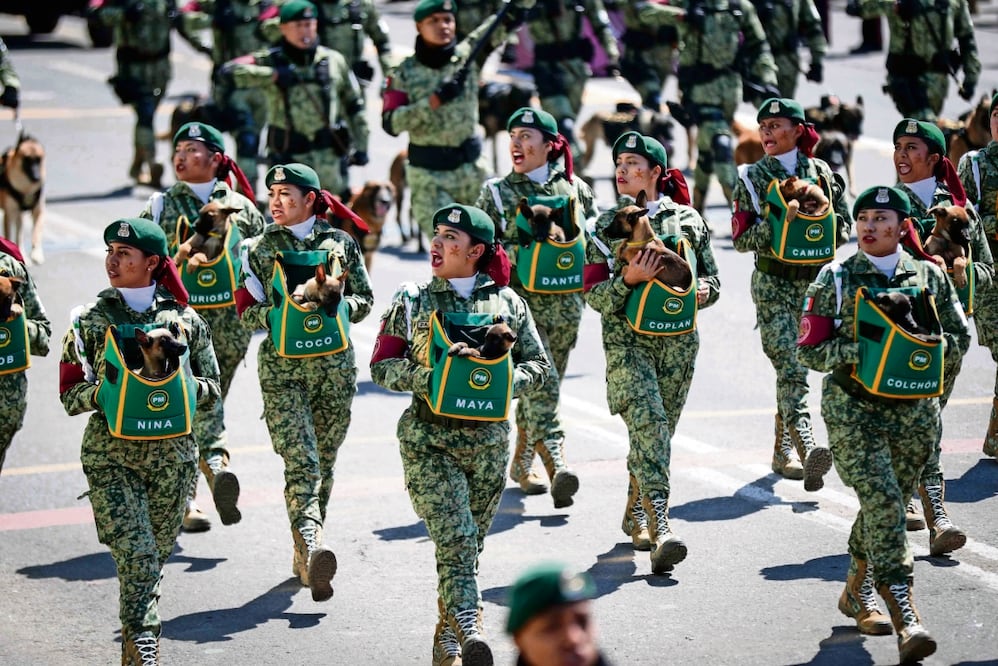 Cientos de integrantes de las Fuerzas Armadas participaron en el ensayo del desfile militar que se realizará el próximo 16 de septiembre. Foto: Diego Simón Sánchez / El Universal