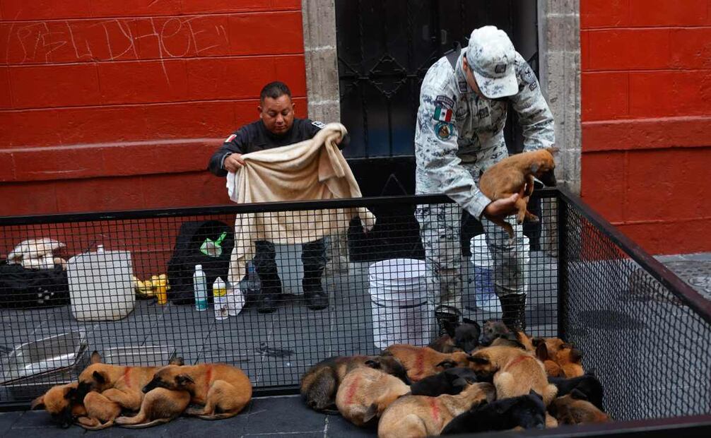 Aspectos del Desfile Cívico Militar de este 16 de septiembre del 2025. Foto: Diego Simón / EL UNIVERSAL.