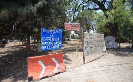 FGR inicia indagatorias por tala de árboles en construcción de autopista en Ecatepec