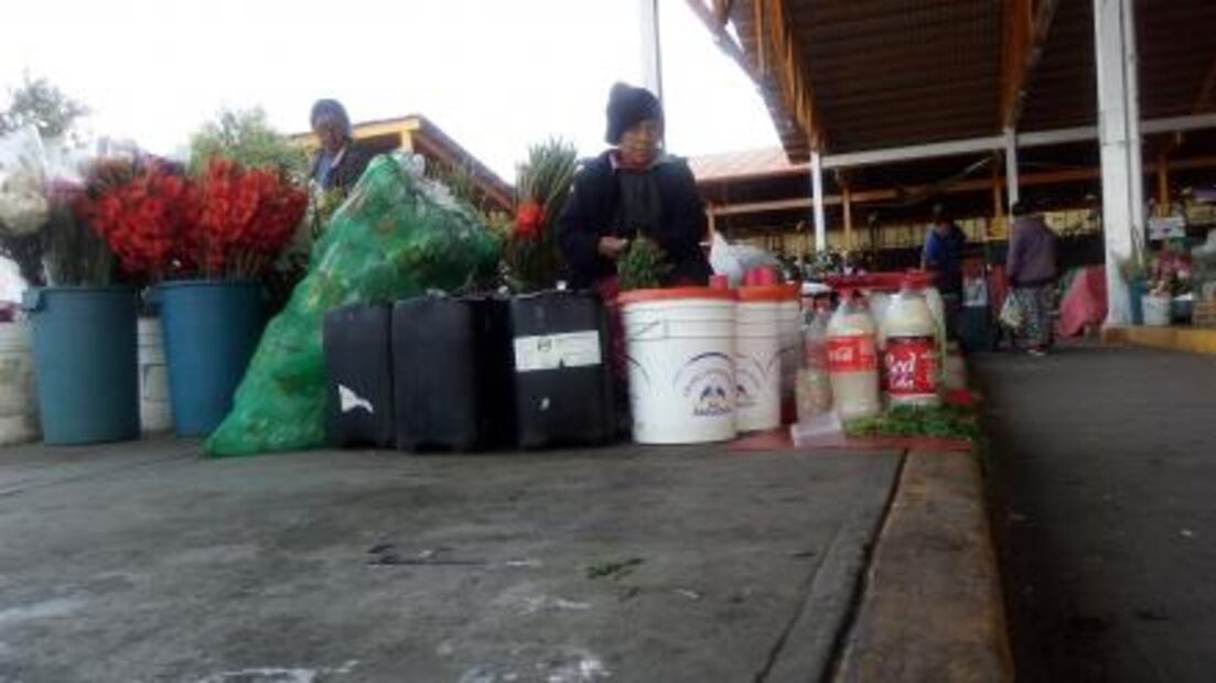 ¿Desaparece la tradición del pulque en Milpa Alta?