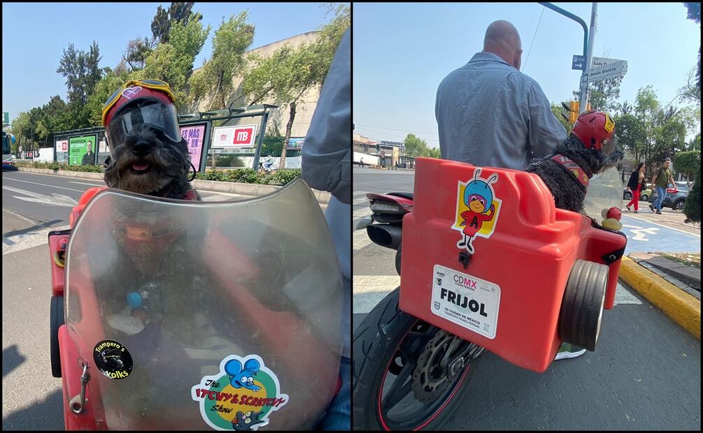 Foto: Juan Carlos Williams / EL UNIVERSAL