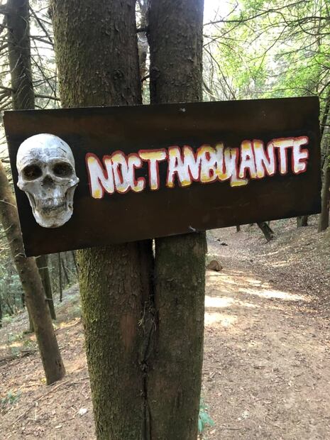 Noctambulante. Pasa una noche de terror en una chinampa en Xochimilco