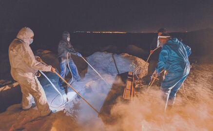 AL y el Caribe con cifras prematuras sobre expectativas de vida