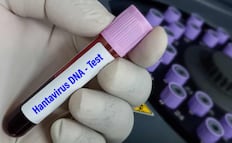 OMS declara fin del brote de hantavirus; se registraron 13 casos relacionados con un crucero que zarpó de Argentina