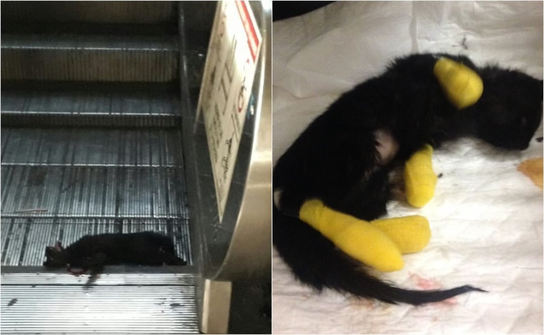 Foto: Metro @MetroCDMX