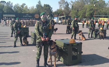Fuerza de Apoyo para Casos de Desastre, lista ante temporada de huracanes: Sedena 