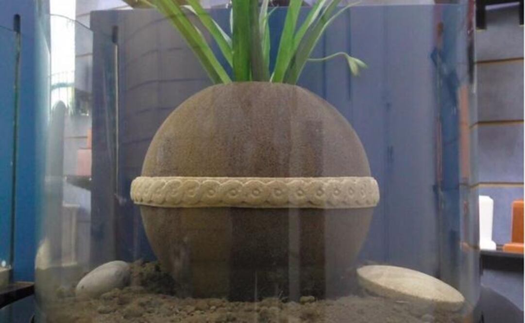 Photo: David Fuentes/EL UNIVERSAL