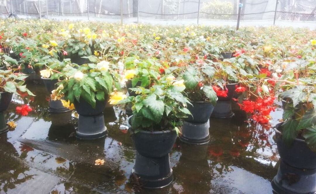 Foto: Héctor Martínez / EL UNIVERSAL