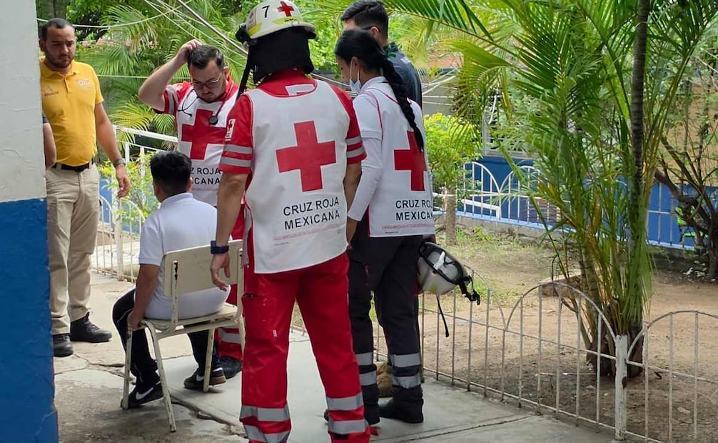 Regreso a clases se complica por enjambre de abejas en primaria de Culiacán; nueve alumnos fueron atacados.
Foto: Especial.