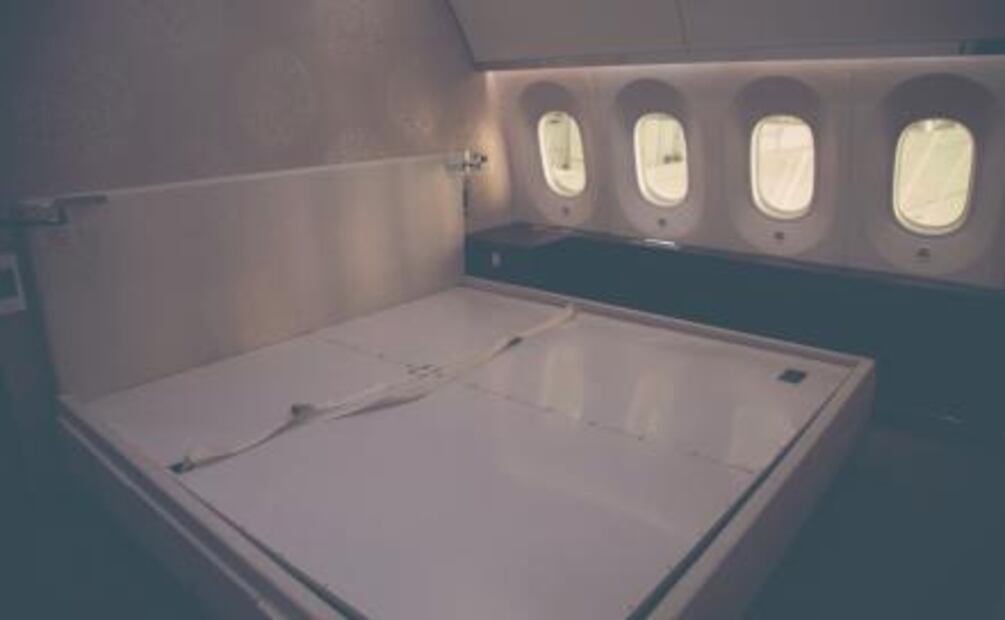 Diferencias entre el avión presidencial de México y el de Trump