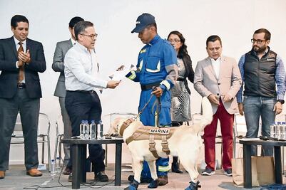 Reconocen a quienes "se la rifaron el 19-S"