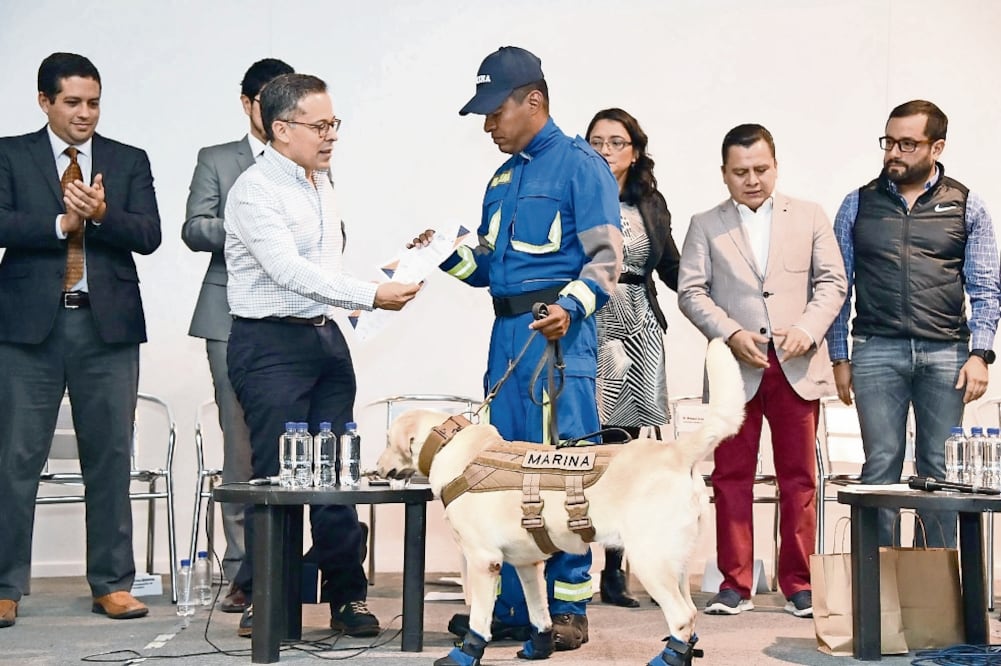 Los perros rescatistas recibieron un kit de premios y sus entrenadores un reconocimiento de manos de autoridades. (CORTESÍA)