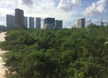 Carlos Joaquín se pronuncia a favor de la protección a Tajamar