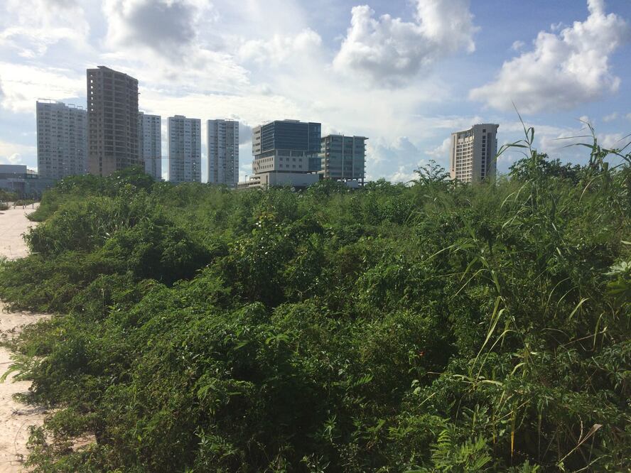 Foto: Adriana Varillas / EL UNIVERSAL