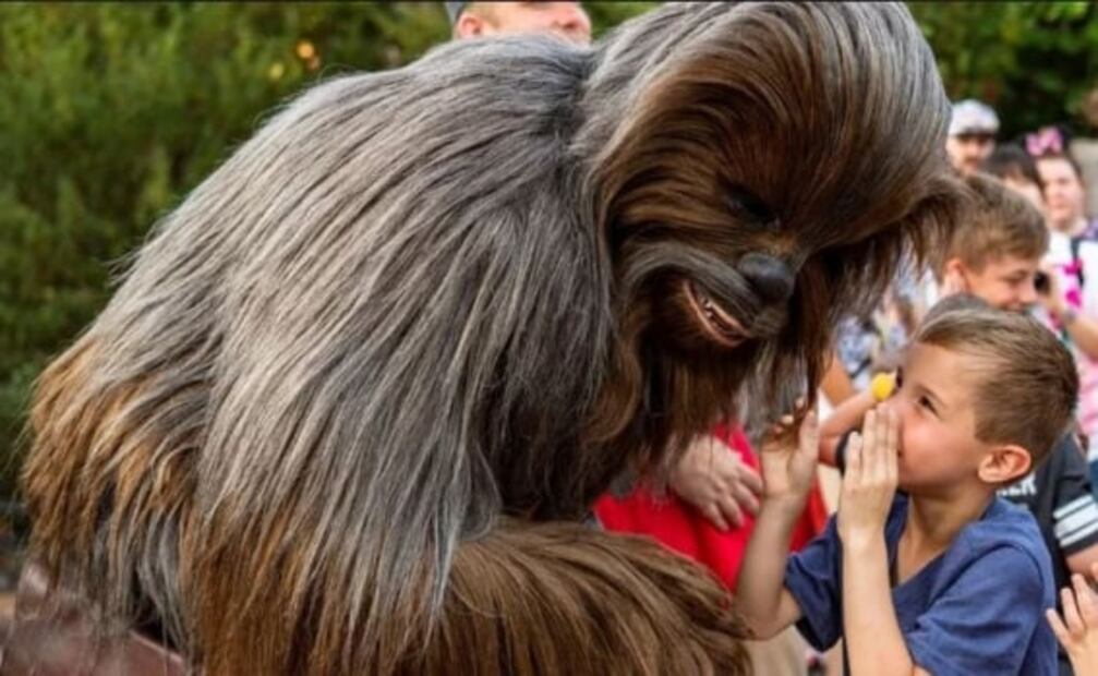 5 cosas que nadie te dice sobre viajar a Disney World