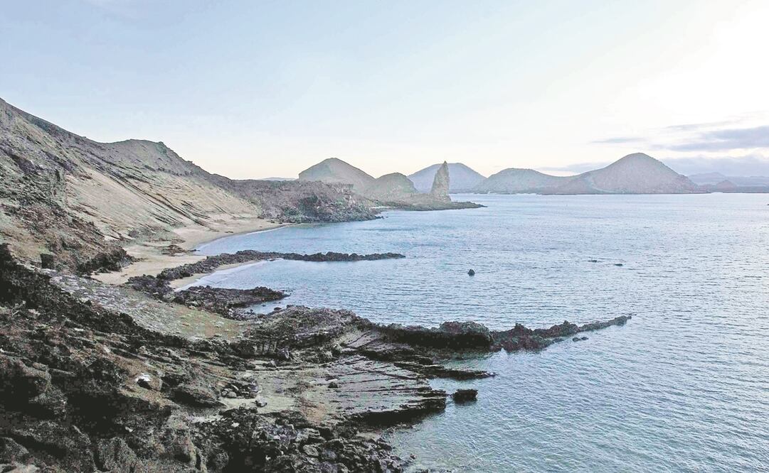 Foto: Archivo/EL UNIVERSAL.