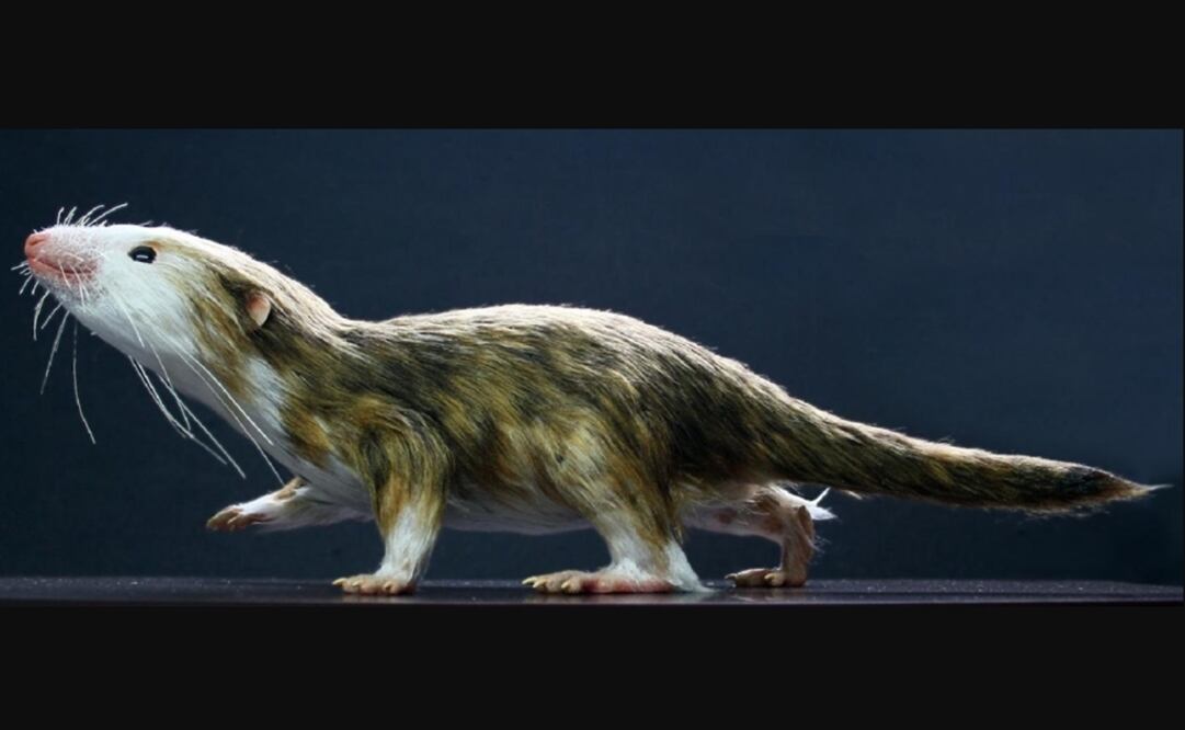 Foto: Bob Nicholss vía Europa Press