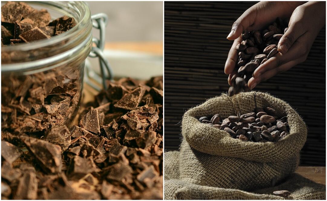 ¿Por qué celebramos el Día Mundial del Cacao y Chocolate el 7 de julio; ¿qué secretos esconde su origen?