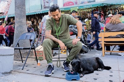 Realizan jornada de atención a perros que llegan con los devotos