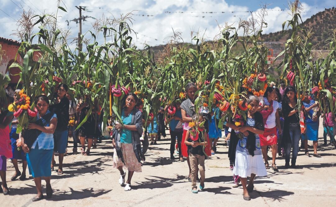En la ceremonia de la danza prehispánica Mili Mitotiliztli se espanta el hambre y se despide al dios de la lluvia, al que se le ofrenda por las buenas cosechas. Fotos. de Salvador Cisneros