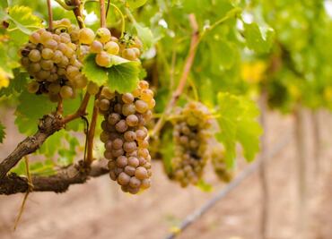 En los valles interandinos