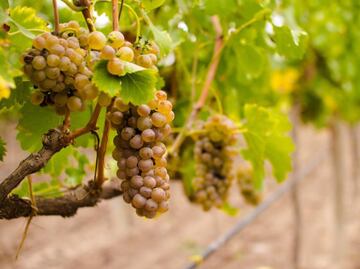 En los valles interandinos