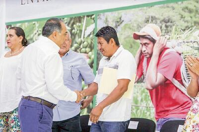 En Guerrero, entregan 55 mdp en incentivos a productores de maíz