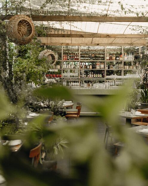 Foto: Instagram @bellauroramx