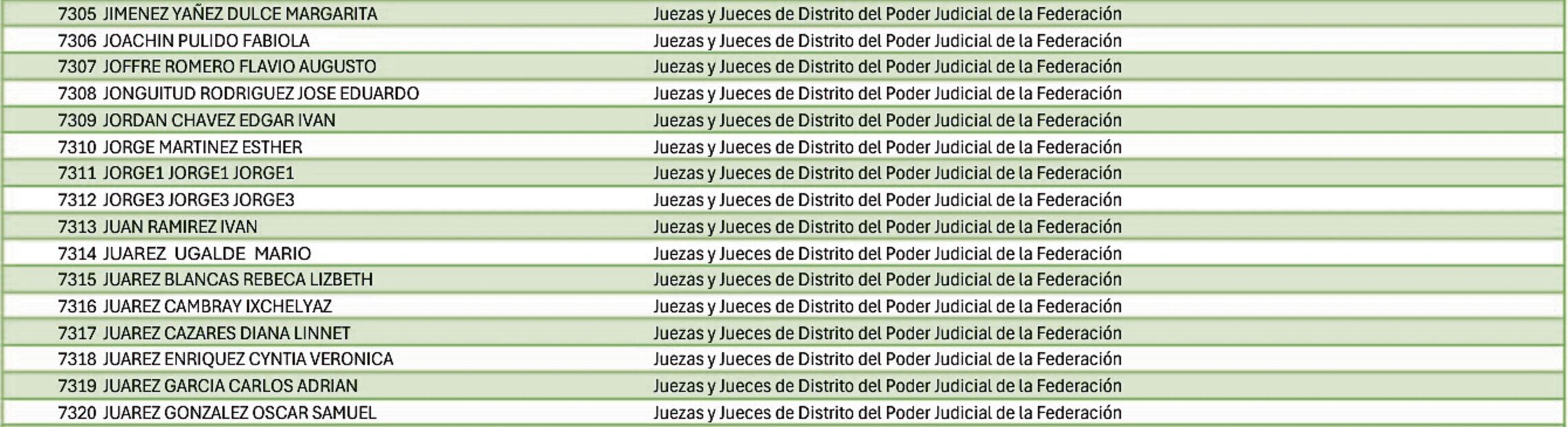 La lista de aspirantes a ser candidatos a un cargo de jueces, magistrados y ministros tiene nombres incompletos o duplicados. Foto Especial