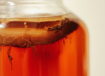 Restaurantes con fermentos para cuidar tu microbiota