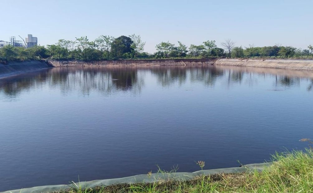 Profepa y Conagua indagan muerte de peces en el río Limón ubicado en Veracruz (20/06/2026). Foto: Especial