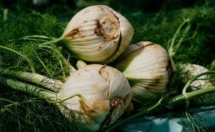 Beneficios de consumir hinojo frecuentemente