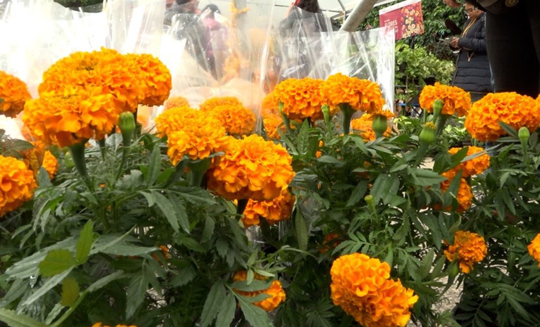 Fotos: Alberto González