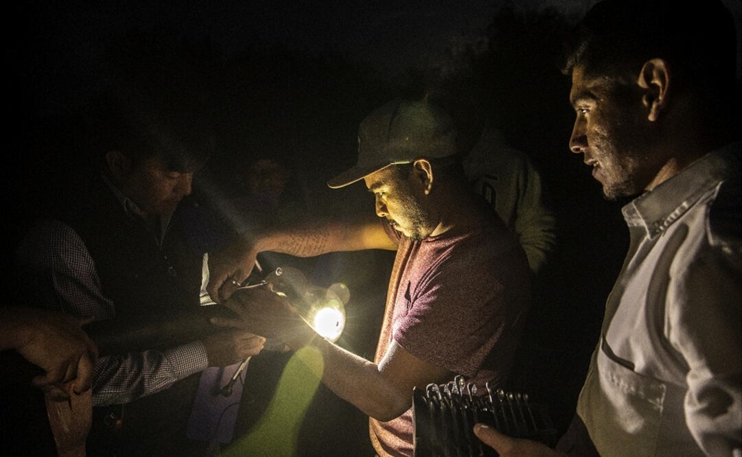 Mexico is the third country in the world with the best solar energy production, even higher than Arizona and southern California in the United States - Photo: Yadin Xolalpa/EL UNIVERSAL