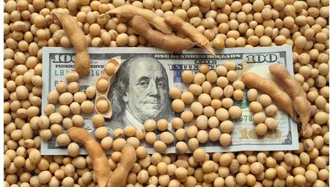 ¿Qué es el nuevo "dólar soja" y por qué podría ser clave para la economía de Argentina?