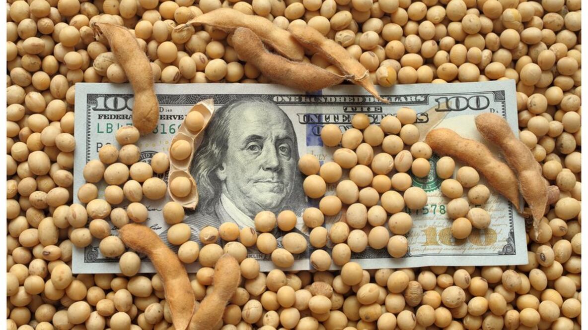 ¿Qué es el nuevo "dólar soja" y por qué podría ser clave para la economía de Argentina?