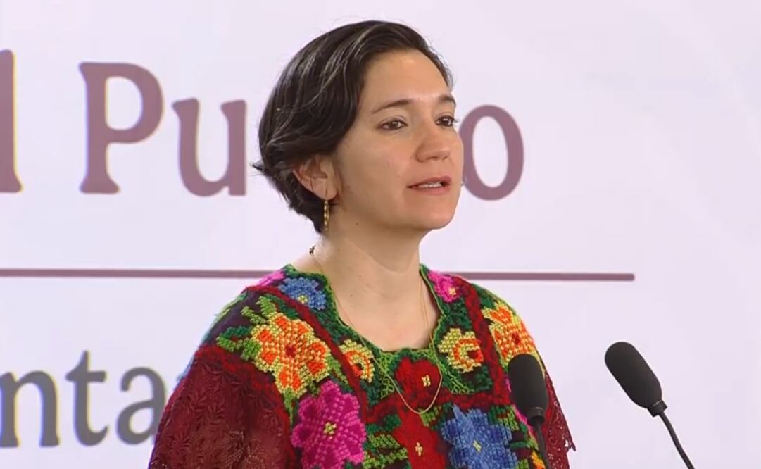 Marcela Figueroa, titular del Secretariado Ejecutivo del Sistema Nacional de Seguridad Pública (SESNSP). Foto: captura de pantalla